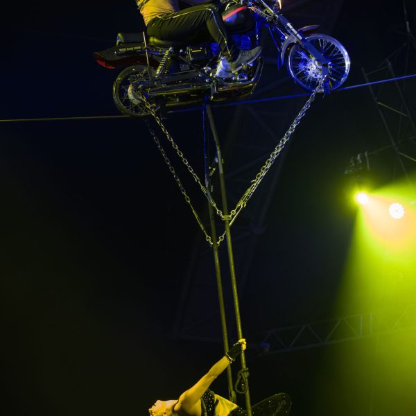 a close up of a flower